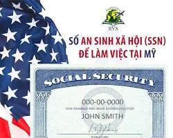 SỐ AN SINH XÃ HỘI (SSN) – TẤM VÉ QUAN TRỌNG ĐỂ LÀM VIỆC TẠI MỸ 🇺🇸 Bạn đang sinh sống tại Hoa Kỳ? Bạn cần tìm việc làm hợp pháp, đóng thuế đúng quy định và được bảo vệ quyền lợi lao động? 🎯 Sở hữu số An Sinh Xã Hội (SSN) là điều kiện bắt buộc để: ✔️ Làm việc hợp pháp tại Mỹ ✔️ Đóng thuế & hoàn thuế đúng luật ✔️ Tham gia các chương trình an sinh xã hội, bảo hiểm hưu trí, y tế ✔️ Mở tài khoản ngân hàng, xin thẻ tín dụng, mua nhà, mua xe… 📝 Nếu bạn chưa có SSN, hãy liên hệ với Angel Disability Help LLC để được: ✅ Hướng dẫn điền hồ sơ đăng ký SSN từ A–Z ✅ Hỗ trợ dịch thuật, đặt lịch hẹn với SSA ✅ Giải đáp toàn bộ thắc mắc liên quan đến quyền lợi an sinh & thuế tại Mỹ 📍 Liên hệ ngay hôm nay để được hỗ trợ miễn phí tư vấn hồ sơ! 👉 Website: https://angeldisabilityhelp.com 📞 Hotline: (888) 222-0330 Angel Disability Help LLC – Đồng hành cùng cộng đồng Việt trên hành trình hội nhập nước Mỹ.